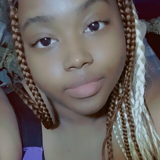 Skyttlez